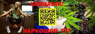 Альфа ПВП Кандалакша