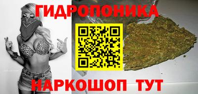 стафф Канаш