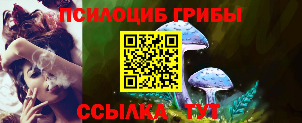 Псилоцибиновые грибы GOLDEN TEACHER Котовск